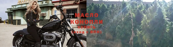 дживик Белоозёрский