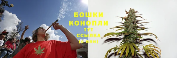 дживик Белоозёрский