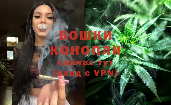 крисы Белокуриха