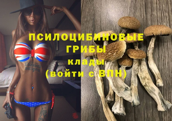 крисы Белокуриха