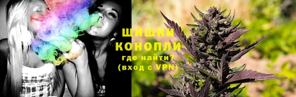 крисы Белокуриха